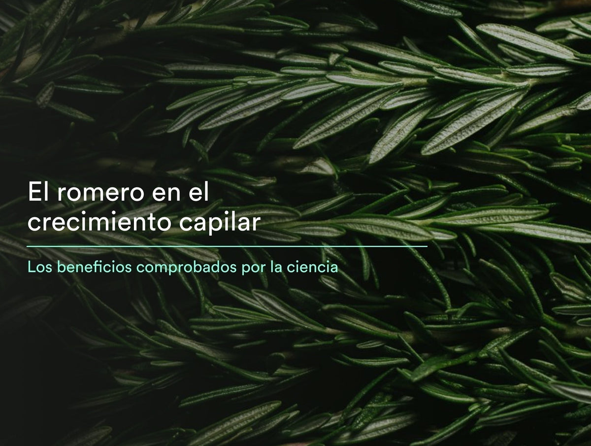 Beneficios del romero para el cabello que sí tienen respaldo científico