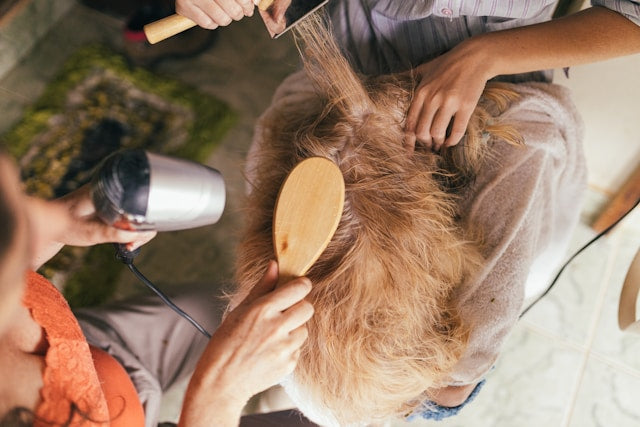 Cómo recuperar el cabello tras la quimioterapia