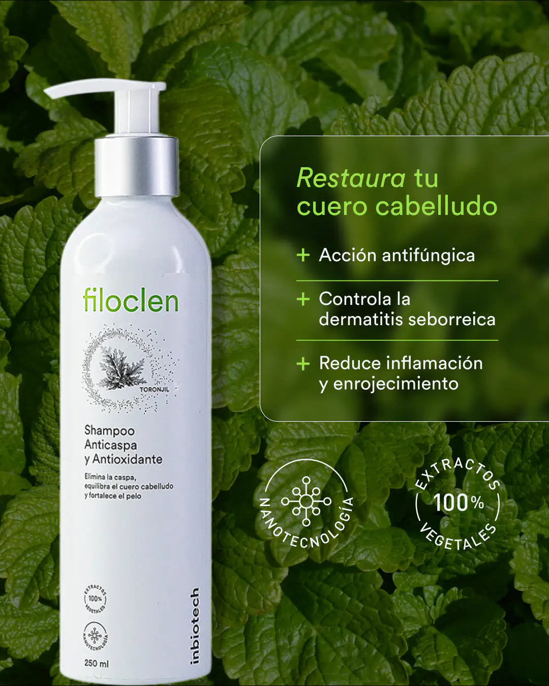 Shampoo Anticaspa | Filoclen